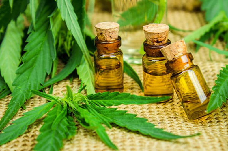 CBD et Arthrose, les bienfaits du cannabis cbd